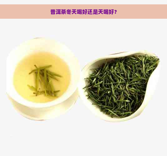 普洱茶冬天喝好还是天喝好？