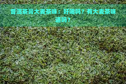 普洱茶膏大麦茶味：好喝吗？有大麦茶味道吗？