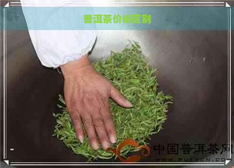 普洱茶价格区别