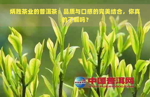 炳胜茶业的普洱茶：品质与口感的完美结合，你真的了解吗？