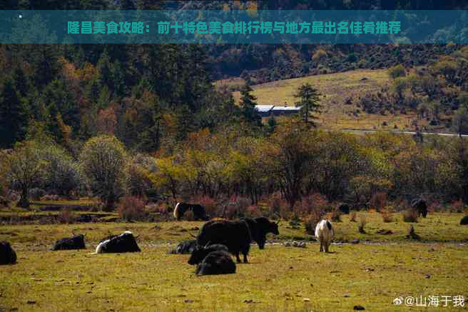 隆昌美食攻略：前十特色美食排行榜与地方最出名佳肴推荐