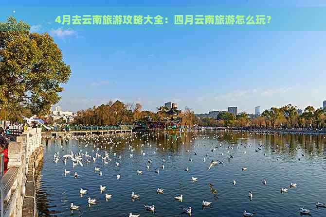 4月去云南旅游攻略大全：四月云南旅游怎么玩？