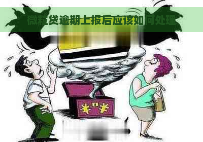 微粒贷逾期上报后应该如何处理