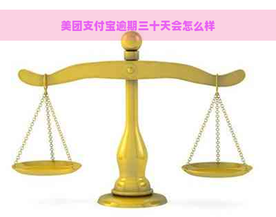 美团支付宝逾期三十天会怎么样