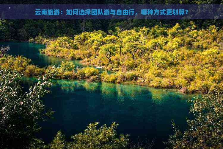 云南旅游：如何选择团队游与自由行，哪种方式更划算？