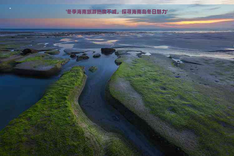 '冬季海南旅游热度不减，探寻海南岛冬日魅力'