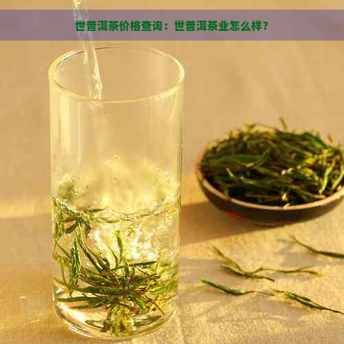 世普洱茶价格查询：世普洱茶业怎么样？