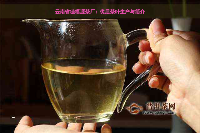 云南省德福源茶厂：优质茶叶生产与简介