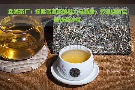 勐海茶厂：探索普洱茶的魅力与品质，打造您的完美饮茶体验