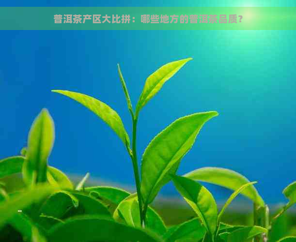 普洱茶产区大比拼：哪些地方的普洱茶品质？