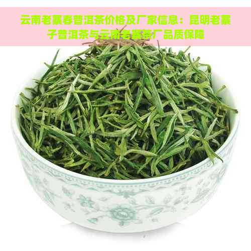 云南老寨春普洱茶价格及厂家信息：昆明老寨子普洱茶与云南老寨茶厂品质保障