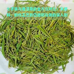 七子茶与普洱茶的全方位对比：从原料、制作工艺到口感和功效的深入剖析