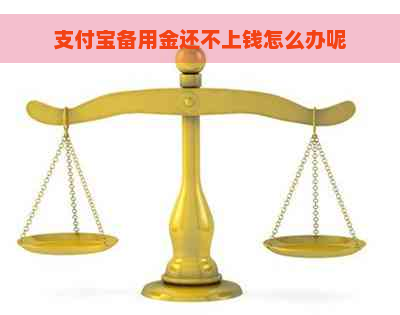 支付宝备用金还不上钱怎么办呢