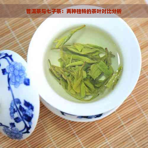 普洱茶与七子茶：两种独特的茶叶对比分析