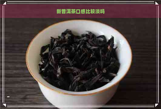 新普洱茶口感比较淡吗