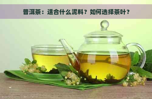 普洱茶：适合什么泥料？如何选择茶叶？