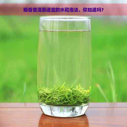 糯香普洱茶适宜的水和泡法，你知道吗？