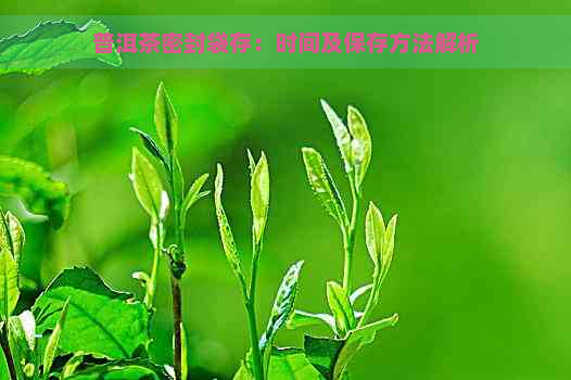 普洱茶密封袋存：时间及保存方法解析