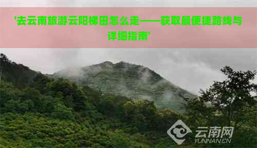 '去云南旅游云阳梯田怎么走——获取最便捷路线与详细指南'