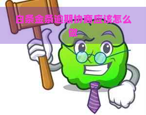 白条金条逾期协商应该怎么做