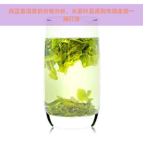 纯正普洱茶的价格分析，从茶叶品质到市场走势一网打尽