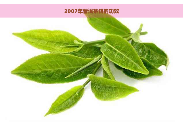 2007年普洱茶饼的功效