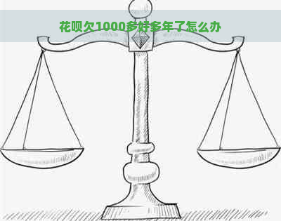 花呗欠1000多好多年了怎么办