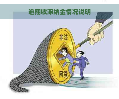 逾期收滞纳金情况说明