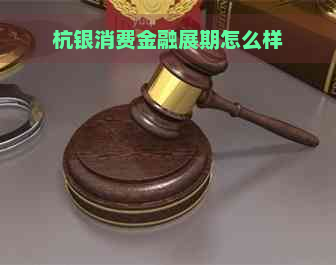 杭银消费金融展期怎么样