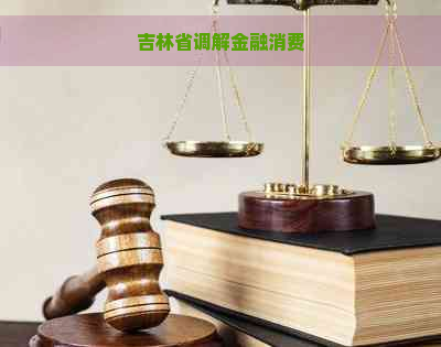 吉林省调解金融消费