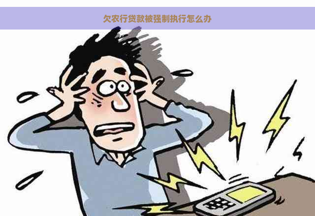 欠农行贷款被强制执行怎么办