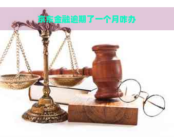 京东金融逾期了一个月咋办