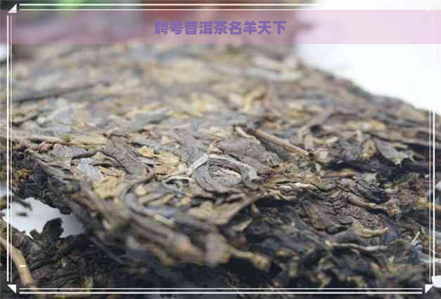 聘号普洱茶名羊天下