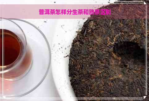 普洱茶怎样分生茶和熟茶区别