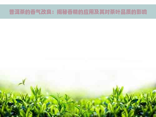 普洱茶的香气改良：揭秘香精的应用及其对茶叶品质的影响