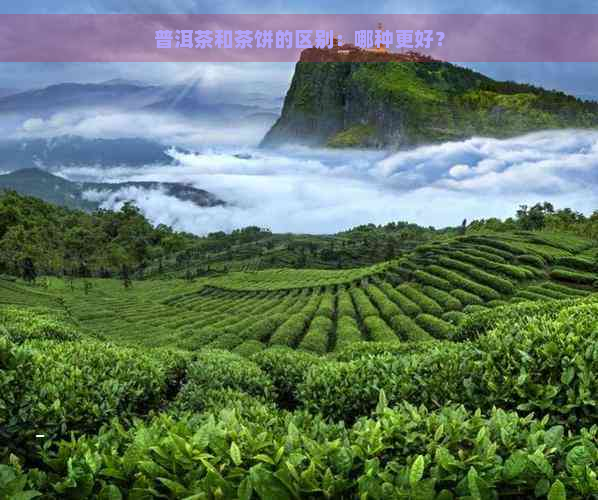 普洱茶和茶饼的区别：哪种更好？