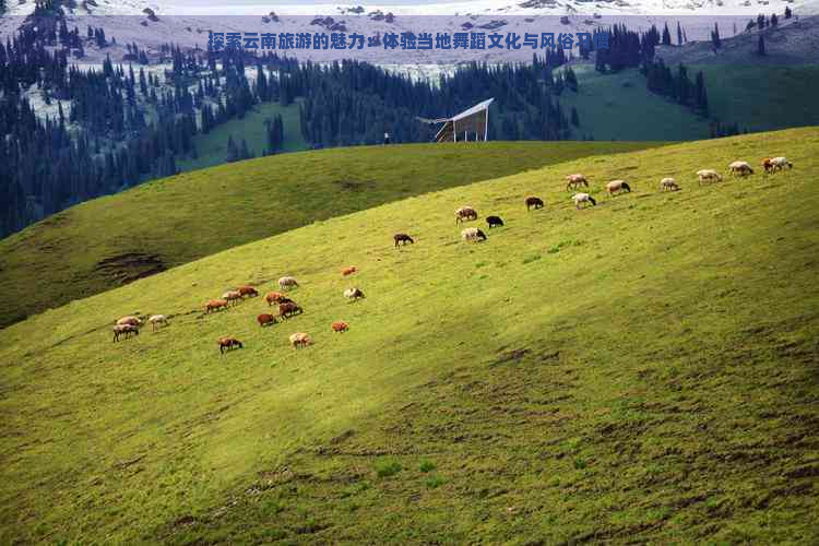 探索云南旅游的魅力：体验当地舞蹈文化与风俗习惯