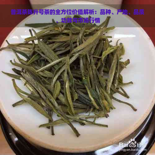 普洱茶陈升号茶的全方位价值解析：品种、产地、品质、功效与市场行情