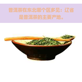 普洱茶在东北哪个区多见：辽省是普洱茶的主要产地。