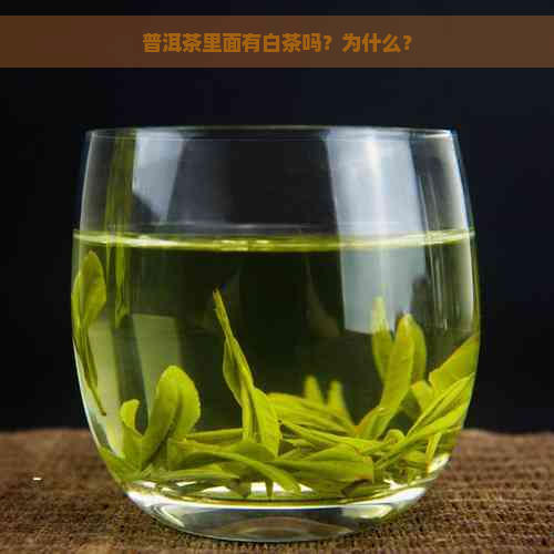 普洱茶里面有白茶吗？为什么？