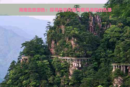 海南岛旅游热：探寻热带风情与椰风海韵的热潮