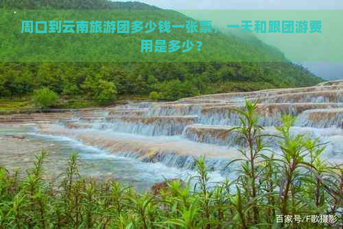 周口到云南旅游团多少钱一张票，一天和跟团游费用是多少？