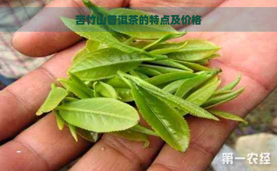 苦竹山普洱茶的特点及价格