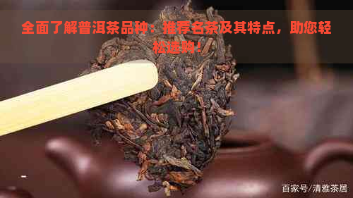 全面了解普洱茶品种：推荐名茶及其特点，助您轻松选购！