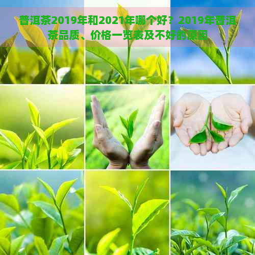 普洱茶2019年和2021年哪个好？2019年普洱茶品质、价格一览表及不好的原因