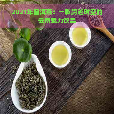 2021年普洱茶：一款跨越时空的云南魅力饮品