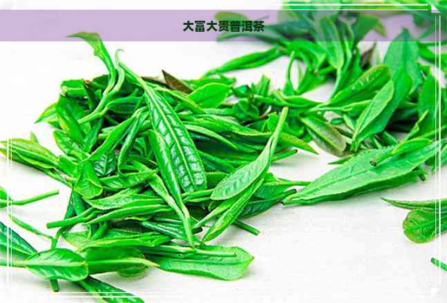 大富大贵普洱茶