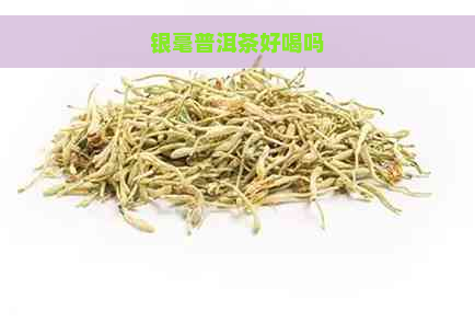 银毫普洱茶好喝吗