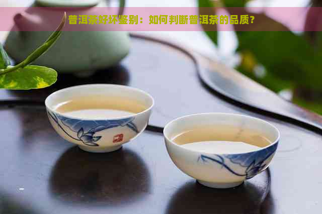 普洱茶好坏鉴别：如何判断普洱茶的品质？