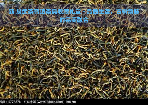 新 易武茶普洱茶具收藏礼盒 - 品质生活，古树韵味的完美融合